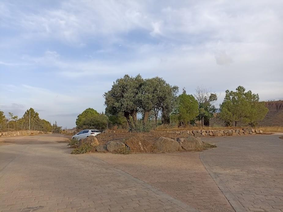 rotondaresindencialolivos